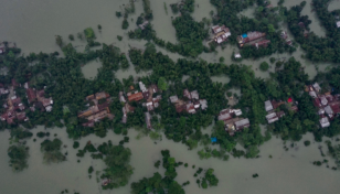 56,000ha of Aush paddy cropland damaged by floods: Razzaque