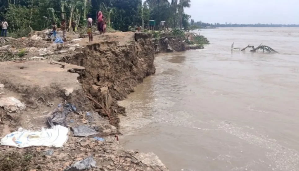 Jamuna devours 400 houses in Sirajganj