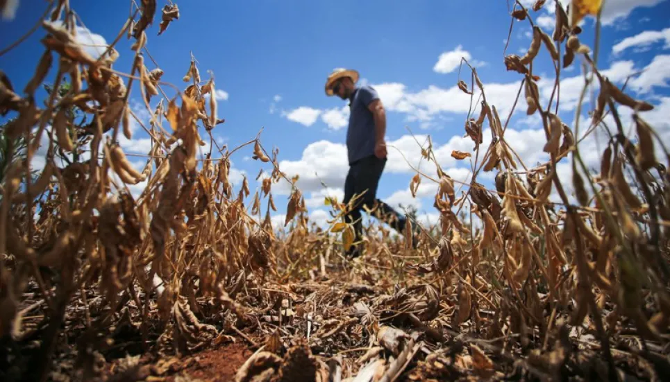 Global crop problems point to years of high food prices