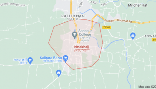 Mother, daughter stabbed dead in Noakhali; one held