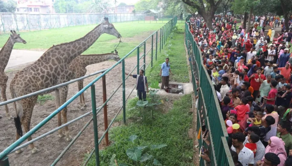 Tougher measures proposed for offenders in Zoo Bill