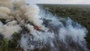 Brazil's Amazon deforestation hits April record, nearly double previous peak