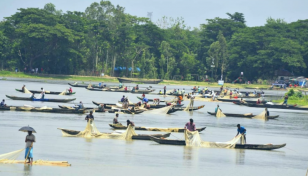 Halda fish egg collectors brood on misfortune