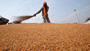 No impact on wheat shipments already contracted for export: Indian High Commission