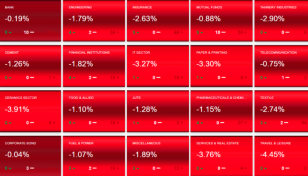 All sectors in red on DSE