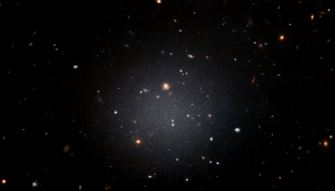 Galaxies without dark matter perplex astronomers