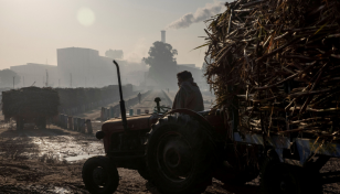 India planning to restrict sugar exports to 10m tonnes