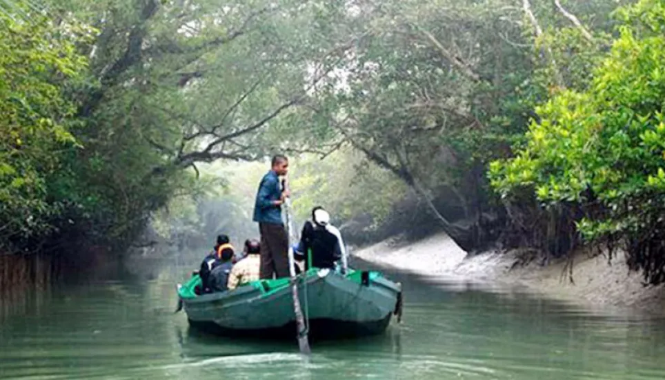 World's largest mangrove forest draws more tourists