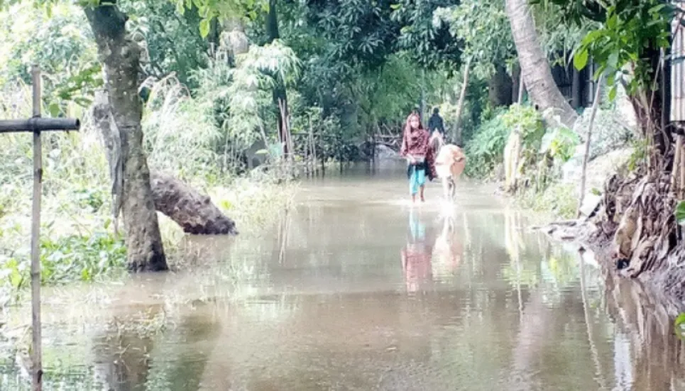 Flood damages 552km roads, 8 bridges in Sunamganj