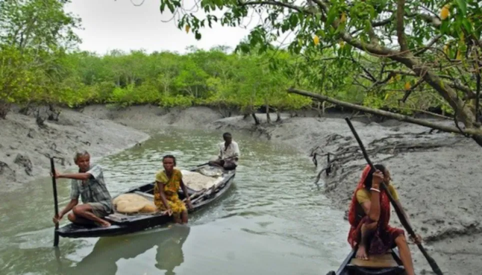 Bangladesh bans fishing in Sundarbans for 3 months