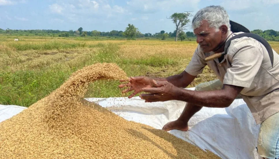 Sri Lanka asks farmers to plant more rice as food shortage looms