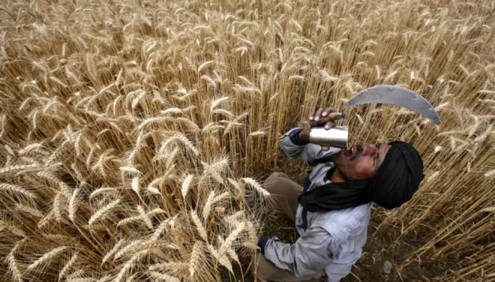 Heatwave-hit India says no plans to curb wheat exports