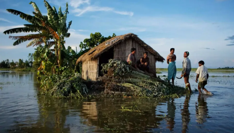 Adapting to climate change main focus of COP27: Hasan Mahmud