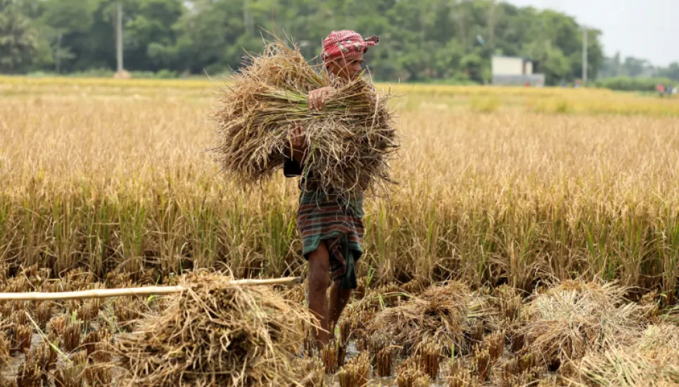 Famine not imminent, but hunger to rise: Experts