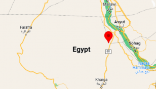 12 dead as Egypt bus crashes with truck