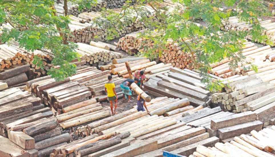 In Pictures: Collecting teak logs from hills