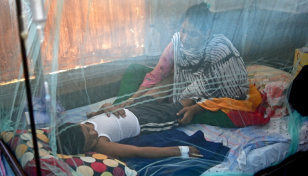 Dengue claims 3 more lives, death toll now 123