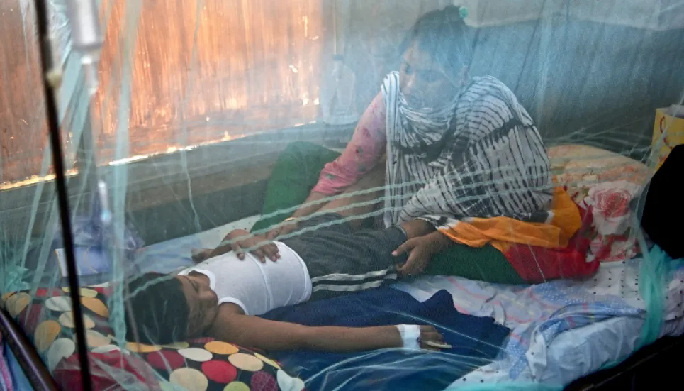 Dengue: Death toll rises to 240 as 3 more die
