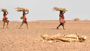 Human rights violated as consequence of climate change: UN expert