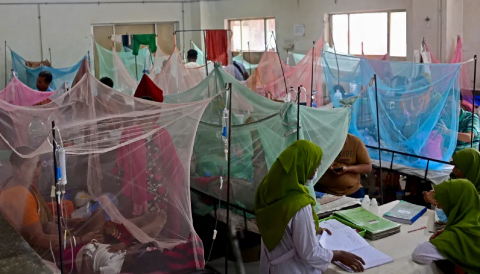 2 more dengue cases reported in 24 hrs: DGHS