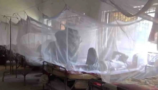 Dengue: 5 more die, 788 hospitalised in 24hrs