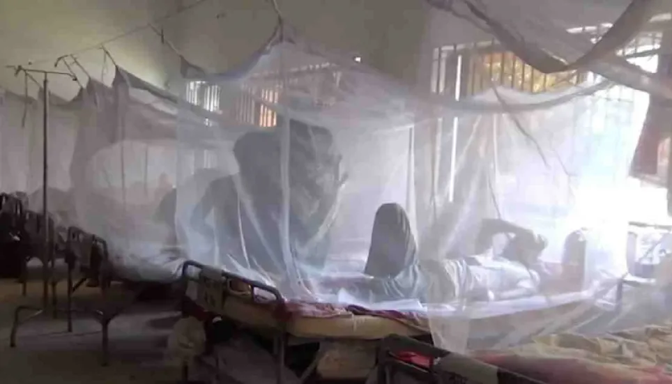 Dengue death toll rises to 64 with another death