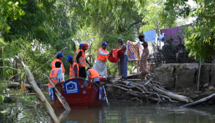 Villagers brave snakes and hunger to protect land in flooded Pakistan