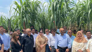 Sugar industry to bounce back soon: Zakia