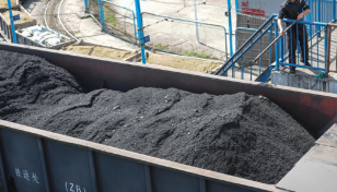 Separate entity needed to deal with coal import