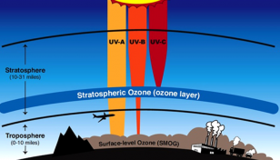 Govt committed to protect ozone layer: Shahab Uddin