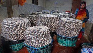 In Pictures: Salted hilsa storehouse