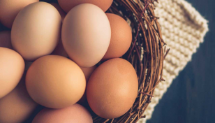 Eggs to be imported soon if necessary: Commerce secy