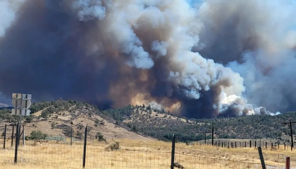 Thousands Told To Evacuate As Rapid Wildfire Spreads In California