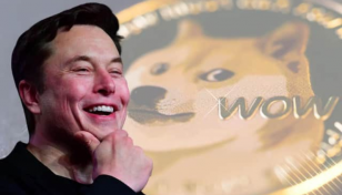 Musk replaces twitter's logo with 'doge' meme