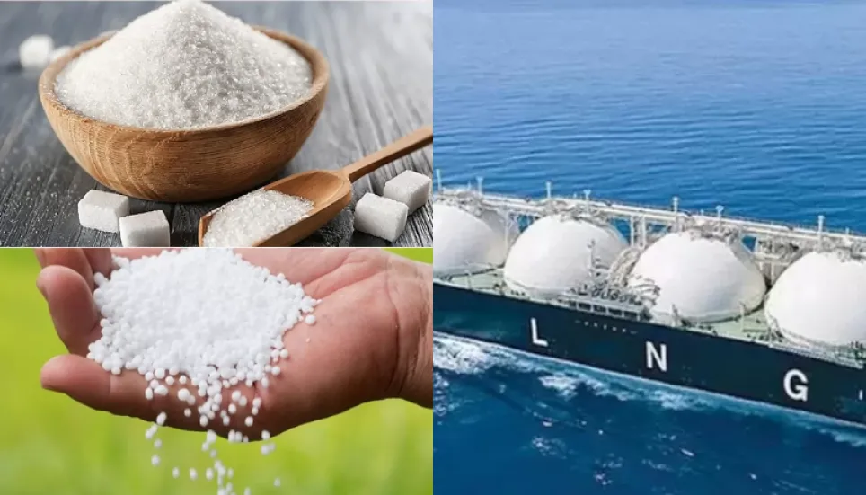 Cabinet purchase body approves import of LNG, sugar, fertiliser