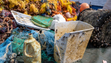 Coastal shellfish colonise ocean plastic: Study