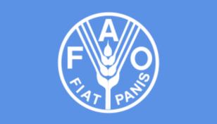 World food prices drop for 7th month: FAO