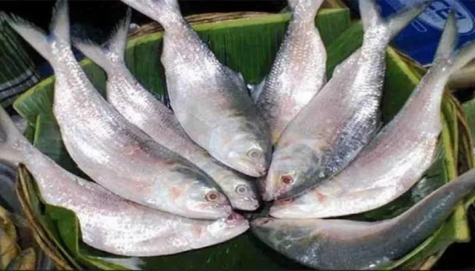 With complaints, Chandpur fishermen gear up to catch hilsa