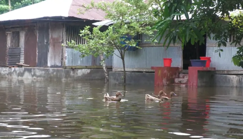 300 families marooned as embankment collapses in Bagerhat