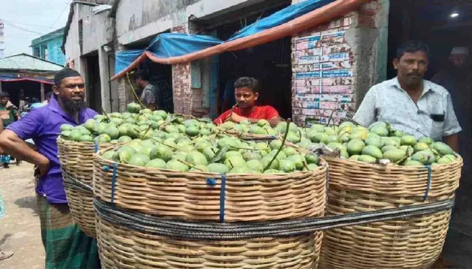 Bangladesh exports 2,700 tonnes of mangoes current season