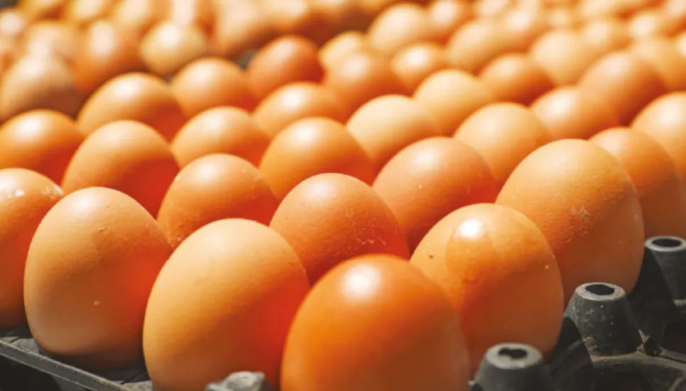 Egg, onion prices soar again 