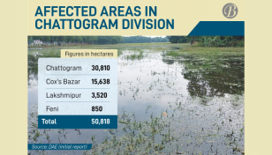 Chattogram flood damages 50,000 hectares of cropland 