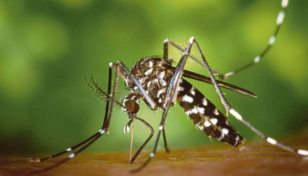 Dengue: 14 more die, 2, 432 more hospitalised in 24hrs