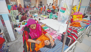 Dengue: Death toll at 1,017 as 11 die in 24hrs