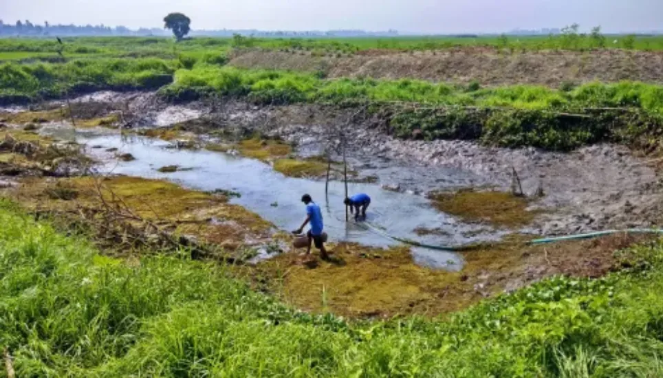 HC issues rule on Arial Beel encroachment