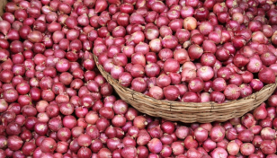 Govt to provide Tk14cr incentive to boost onion production