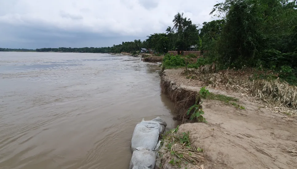 Madhumati river banks erosion intensifies in Faridpur