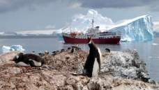 Warming decimates Antarctica's emperor penguin chicks
