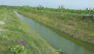 3,490-hectare land under surface water irrigation in Barind