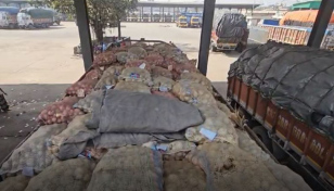 74 tonnes of Indian potatoes reach Benapole port